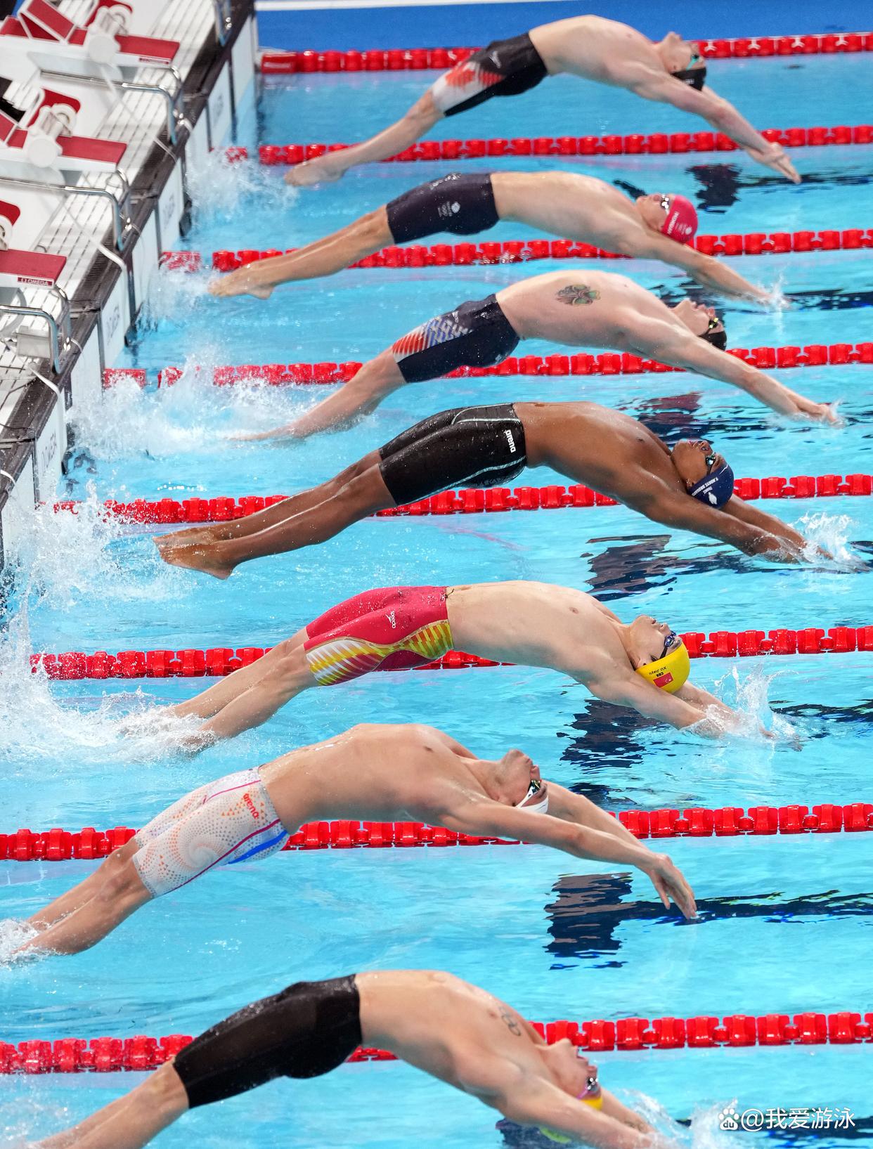 开云体育官网-包含游泳比赛泳池中的奇迹,速度与技术并存的词条
