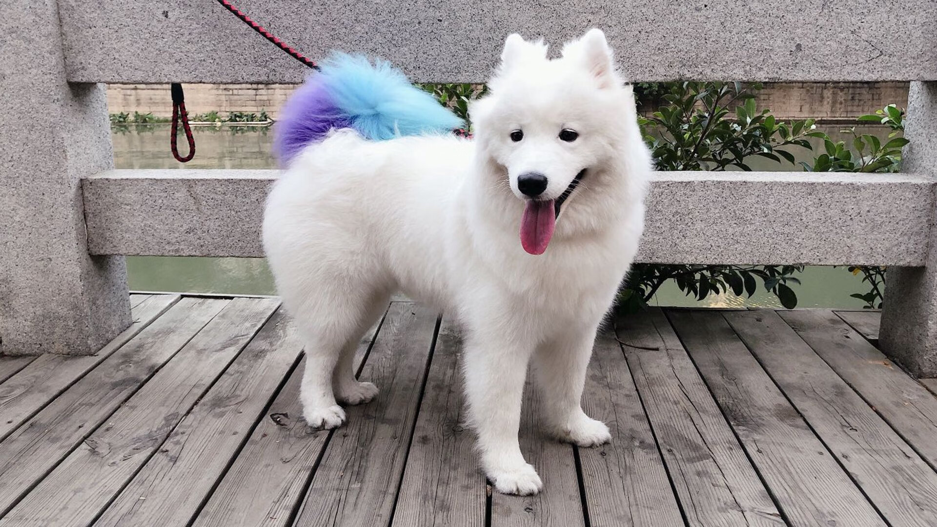 约基奇式爆发!活塞用唯一性哲学稳稳拿下山西