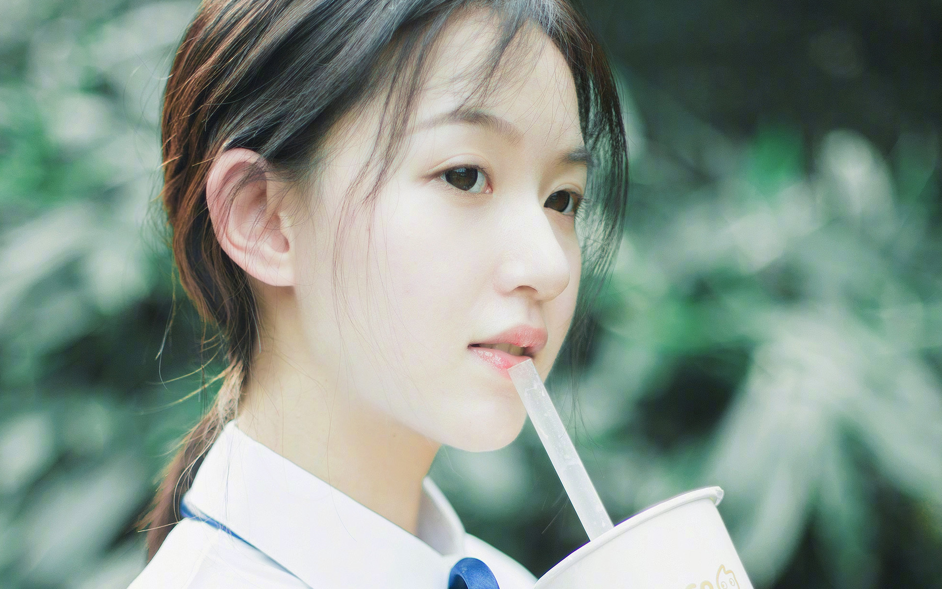 关键先生,当猛龙对阵奇才,字母哥的决胜时刻跨越时空闪耀