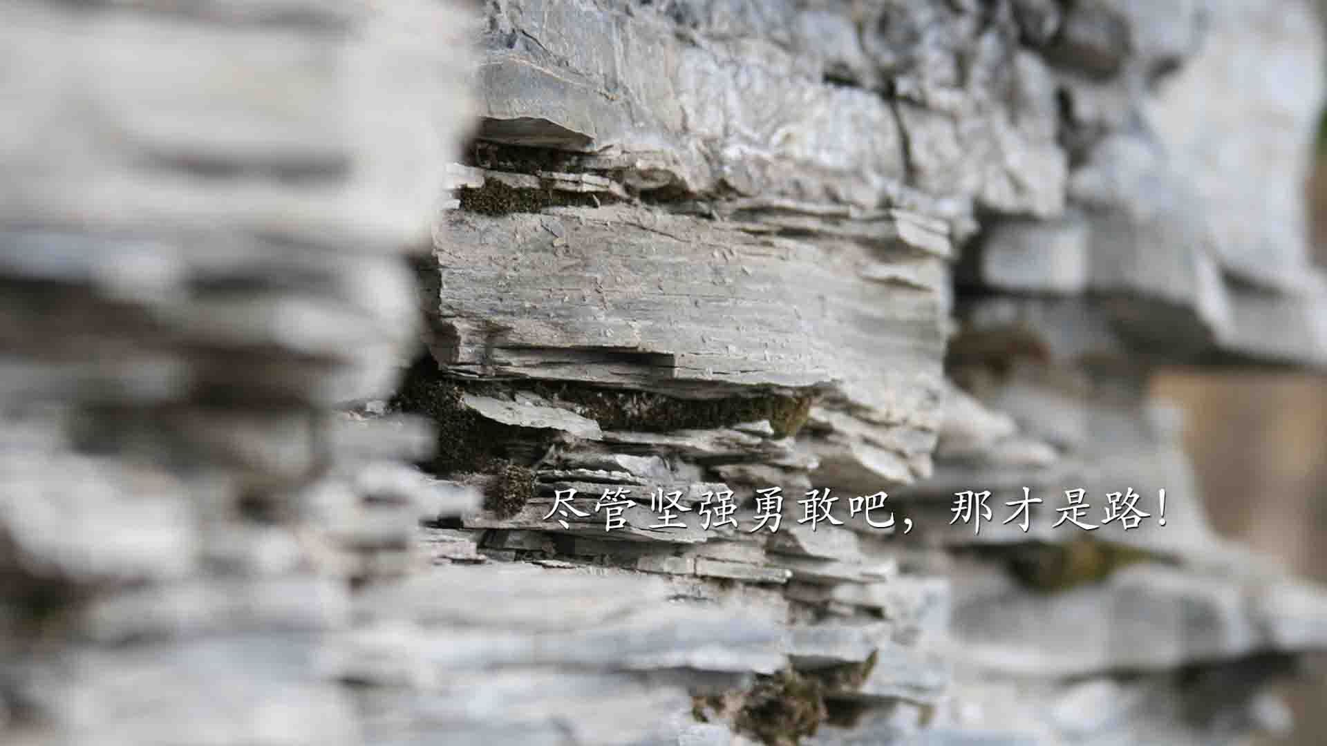 开云体育APP下载-战歌与奇迹,埃及在都灵之巅上演的奥运周期逆袭之战