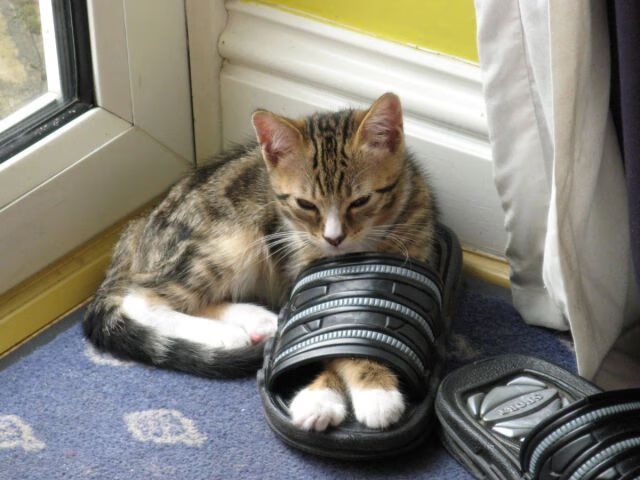 绿茵场外的帽子戏法，当中国开始收割亚特兰大