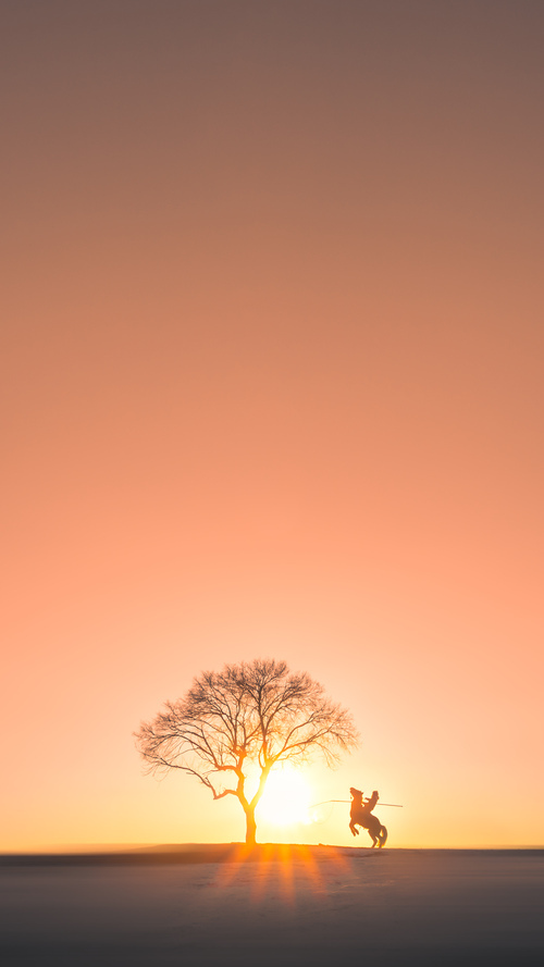 篮网淘汰国王晋级总决赛，欧文总决赛接管比赛，铸就传奇之夜