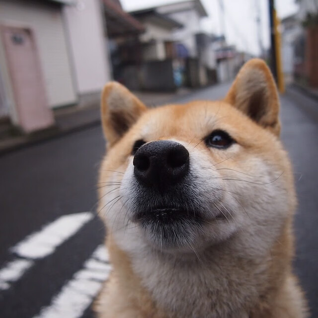 救赎的刻度，保罗的生涯之夜与时间之战