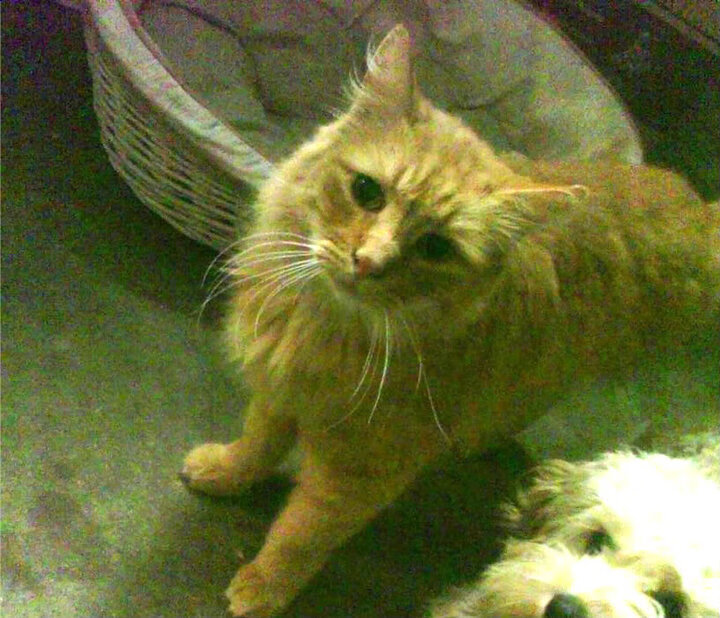 闪电与磐石，爱德华兹47分神迹难阻马刺加时鏖战力克北京