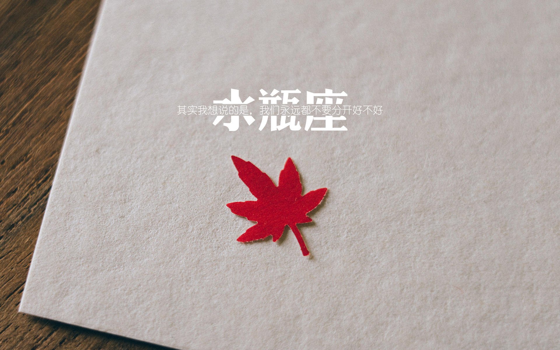 开云sport-一毫米的王朝，楚阿梅尼在世界排名争夺战的制胜美学