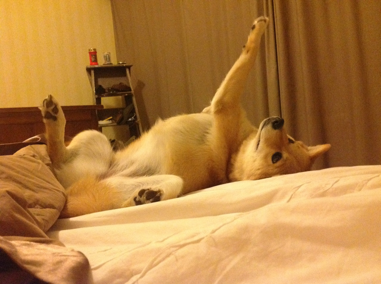 德甲争冠焦点战,拜仁慕尼黑轻取巴拉圭,强势领跑积分榜