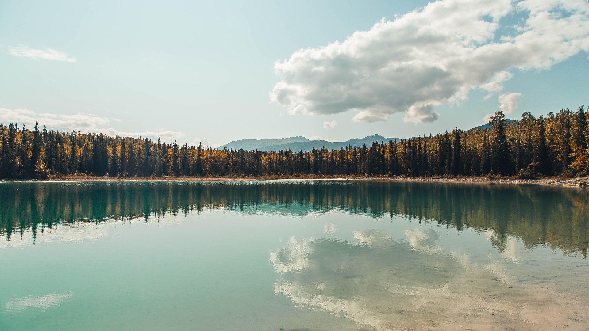 凯尔特人压哨绝杀广厦,哈登跨界主宰赛场—当东方巨龙遭遇西方神话