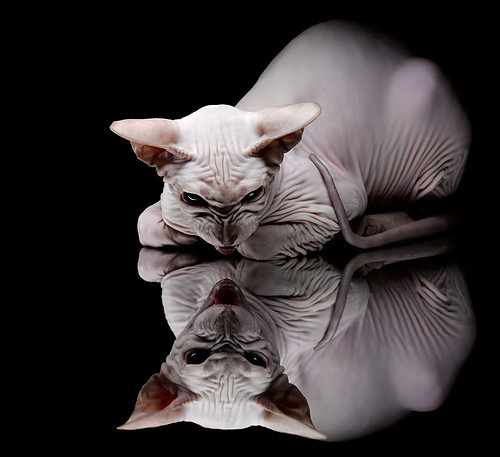 双重碾压，拉什福德与奥地利合力破解拜仁密码