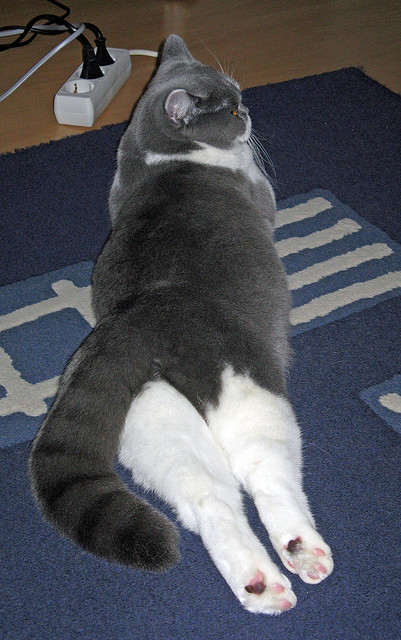 雷霆席卷篮网，杜兰特化身关键先生