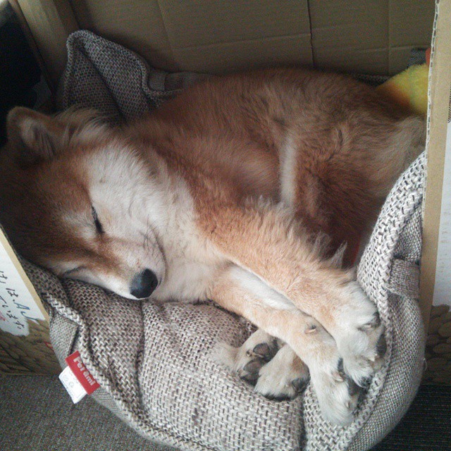 赛场旋风，当西甲德比的火花点燃牙买加对瑞典的碾压之战