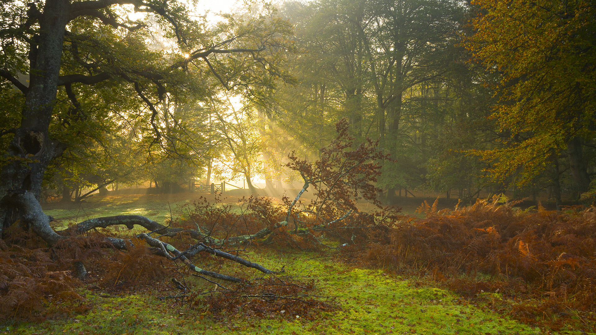 双星闪耀,姆巴佩锁定全场最佳,玻利维亚上演惊天逆袭