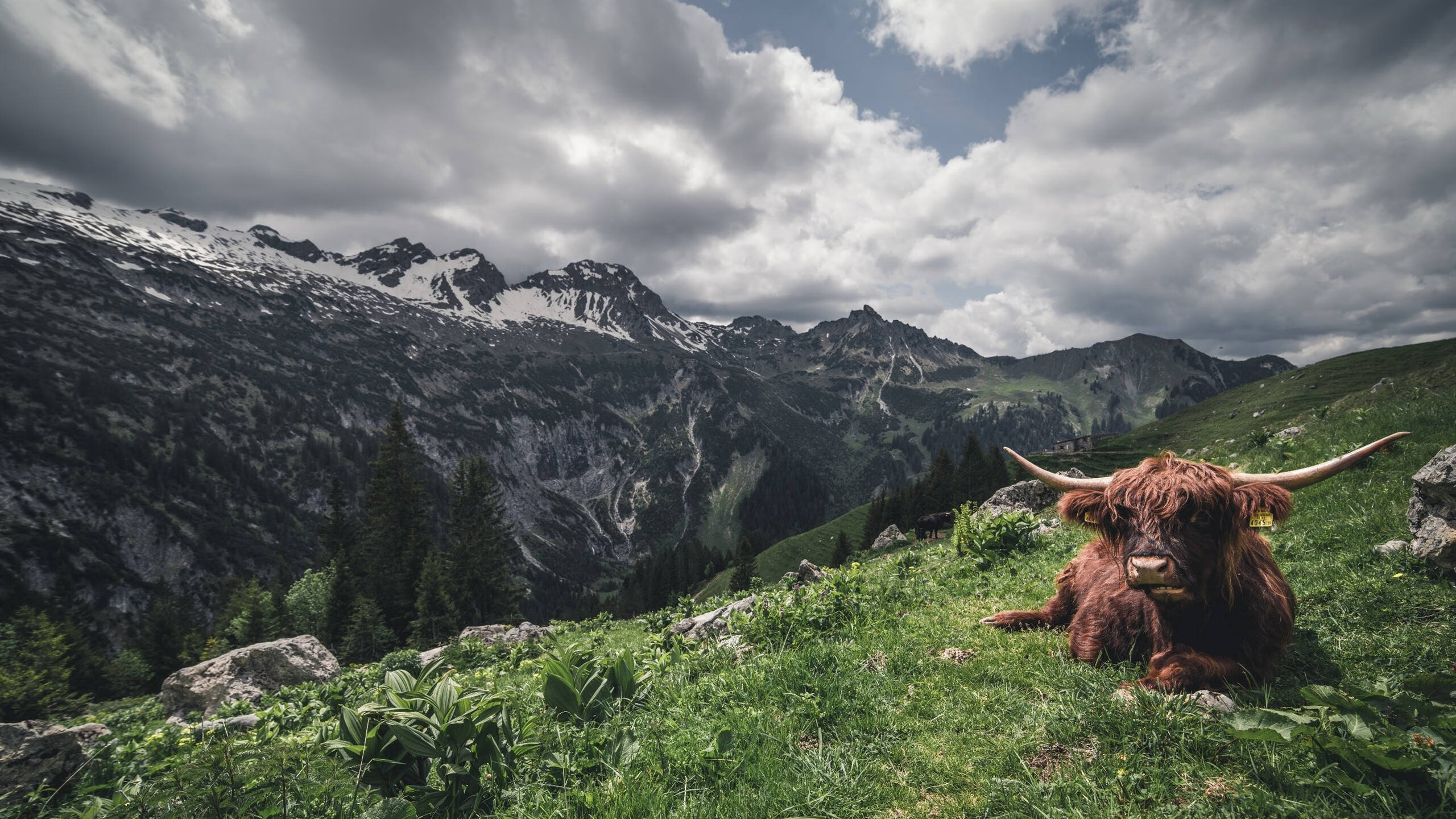足球世界的东决，莱比锡红牛如何用德国机器般的精密，粉碎亚特兰大的幻梦