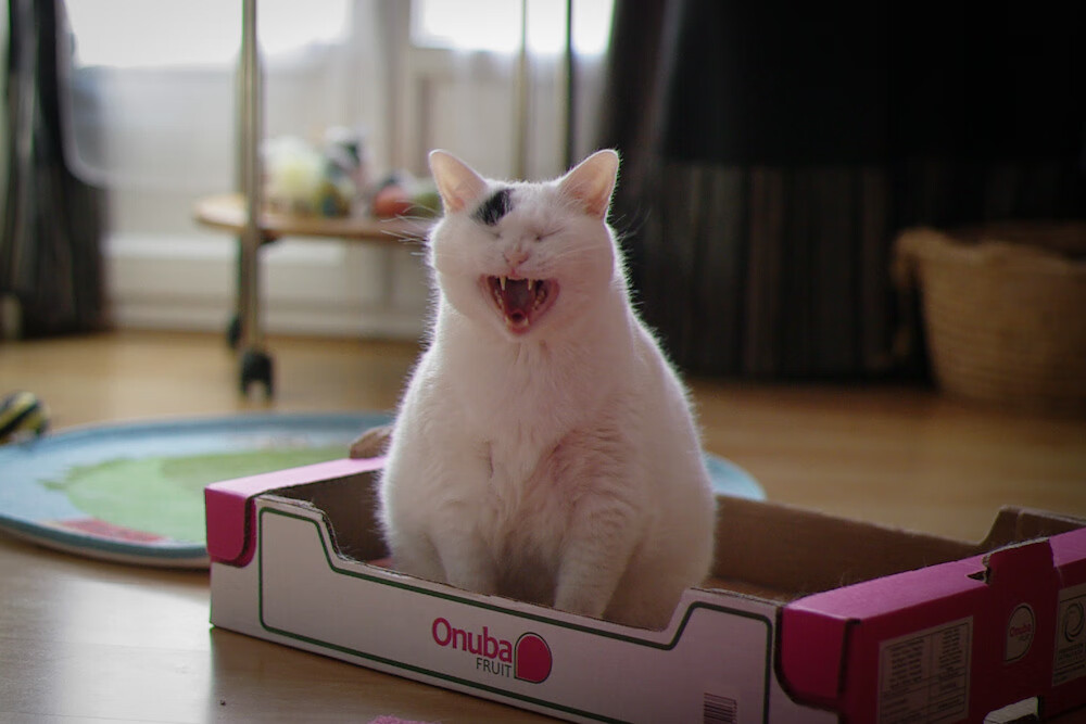 跨越大洋的双向征服，当山西的韧性照见爱德华兹的锋芒