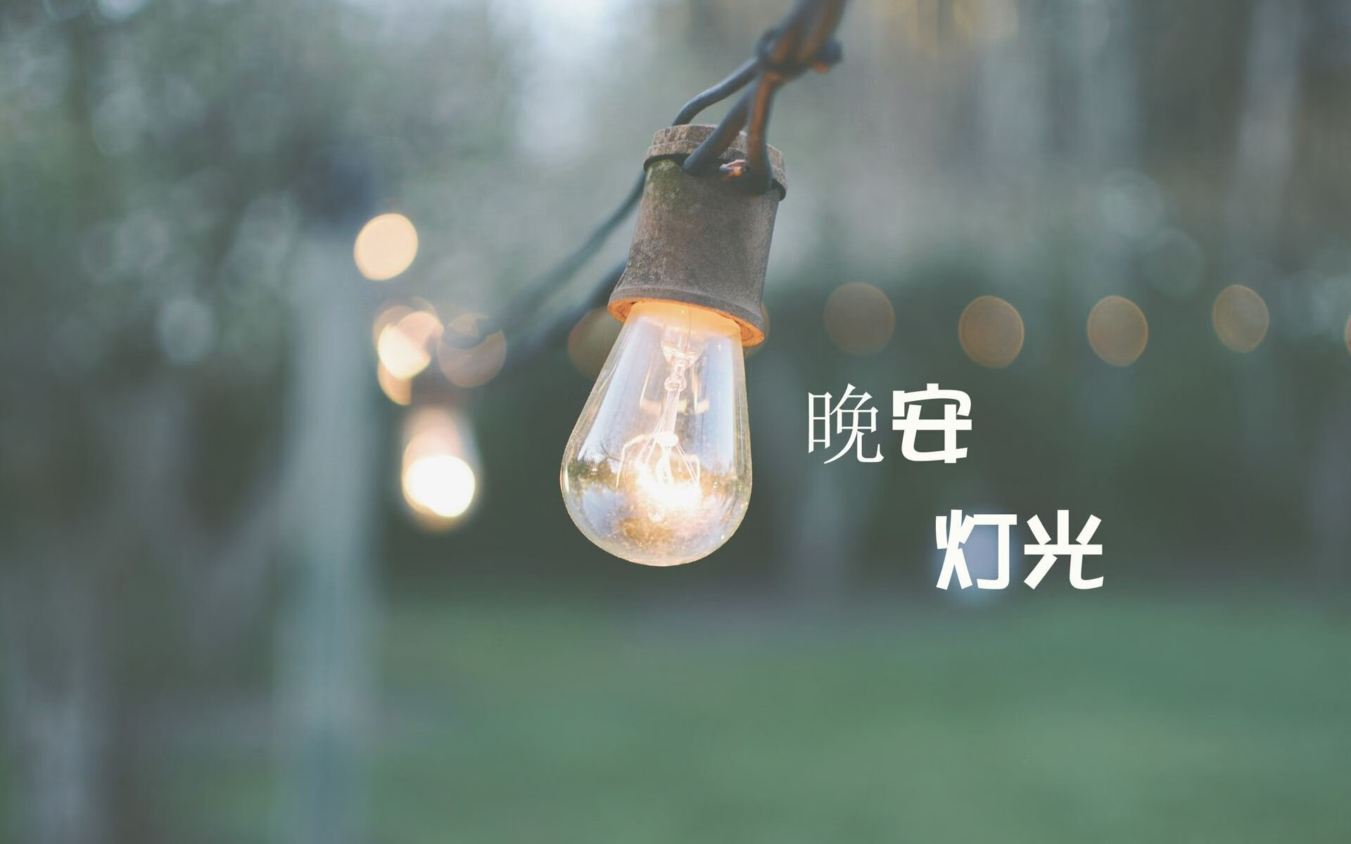 开云体育在线-2026世界杯F组,哈基米掌控中场,伊拉克爆冷掀翻美国